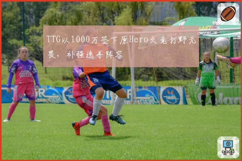 TTG以1000万签下原Hero久竞打野无畏,补强选手阵容